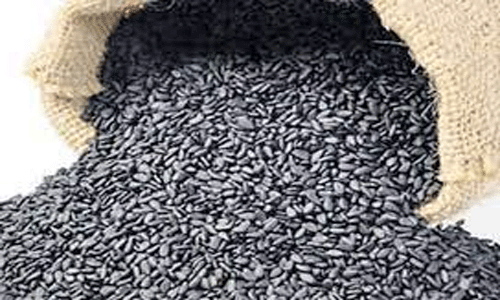 ரூ.10 லட்சத்து 39 ஆயிரத்துக்கு எள், தேங்காய்பருப்பு ஏலம்