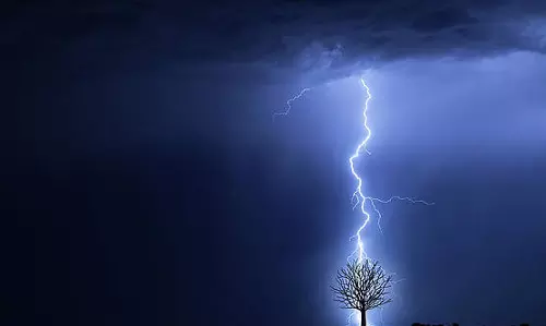 பண்ருட்டி அருகே இடி விழுந்து தென்னை மரம், மின்சாதன பொருட்கள் சேதம்