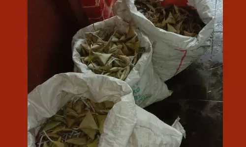 வீட்டில் அனுமதியின்றி பதுக்கி வைத்திருந்த 42 கிலோ ஓலைவெடிகள் பறிமுதல்: பெண் கைது-கணவன் மீது வழக்கு