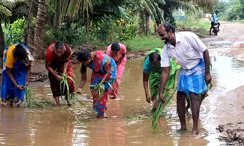 பாவூர்சத்திரம் அருகே சாலையை சீரமைக்க கோரி நாற்று நட்டு பெண்கள் போராட்டம்