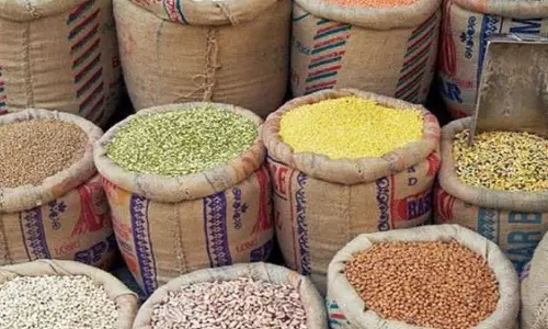 உணவு தானிய உற்பத்தியில் விதை முக்கிய பங்கு வகிக்கிறது - அதிகாரி விளக்கம்