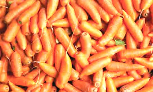 மேட்டுப்பாளையம் மார்க்கெட்டில் கேரட், முட்டைகோஸ் விலை வீழ்ச்சி