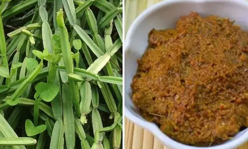 பெரும் பலன் தரும் பிரண்டை