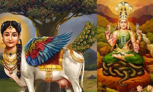 ஆடி விரதங்கள் மற்றும் வழிபாடுகள்