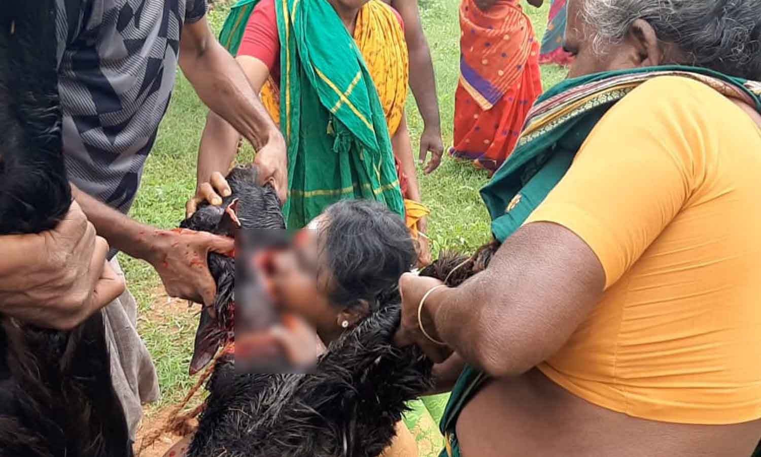 கோவில் திருவிழாவில் ஆட்டு ரத்தம் குடித்து அருள்வாக்கு கூறிய பெண் சாமியார்