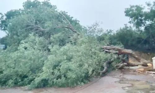 ராமநாதபுரம் மாவட்டத்தில் விடிய, விடிய கொட்டித்தீர்த்தது: தொண்டியில் 100.6 மி.மீ. மழை பதிவு