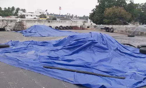 காங்கயம் பகுதியில் தொடர் மழையால் தேங்காய் உலர்களங்களில் பணிகள் பாதிப்பு