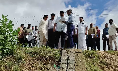 கடந்த ஆண்டு உடைப்பு ஏற்பட்ட ஆரணி ஆற்று கரையோரத்தில் கலெக்டர் நேரில் ஆய்வு