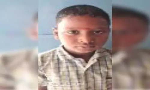 வாழப்பாடி அருகே பாம்பு கடித்து  3-ம் வகுப்பு மாணவன்  பலி