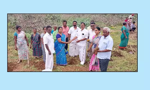 பனை விதை நடவு விழா