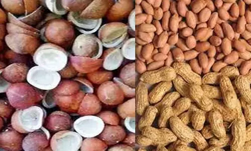 கொங்கணாபுரம் ஒழுங்குமுறை விற்பனை கூடத்தில்தேங்காய் கொப்பரை, நிலக்கடலை விற்பனை