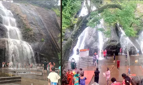 மேற்கு தொடர்ச்சி மலையில் தொடர் மழை: நெல்லை, தென்காசி மாவட்டங்களில் அணைகளின் நீர்மட்டம் அதிகரிப்பு