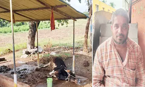 மின்சாரம் தாக்கி விவசாயி பலி