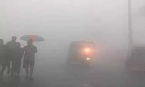 ஏற்காட்டில் கடும் பனிப்பொழிவு