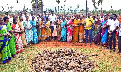 முக்கூடல் அருகே பனைவிதை விதைப்பு விழா- கலெக்டர் கார்த்திகேயன் தொடங்கி வைத்தார்