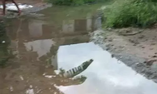 பொன்னேரியில் மழை நீர் கால்வாய் பணி முடியாததால் குளம்போல் தேங்கிய தண்ணீர்- பொதுமக்கள் தவிப்பு