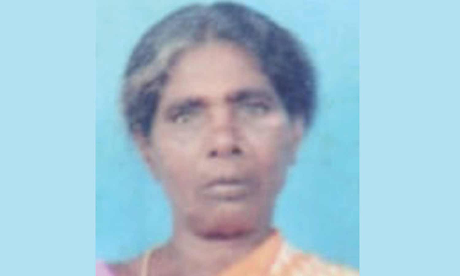 சோழவரம் அருகே மின் கம்பி அறுந்து விழுந்ததில் மின்சாரம் தாக்கி மூதாட்டி பலி