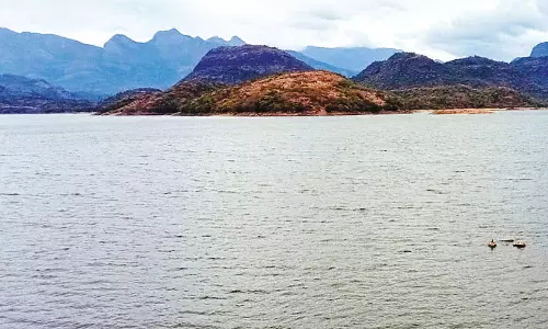 உடுமலை அமராவதி அணையின் நீர்மட்டம் ஒரே நாளில் 2 அடி உயர்வு