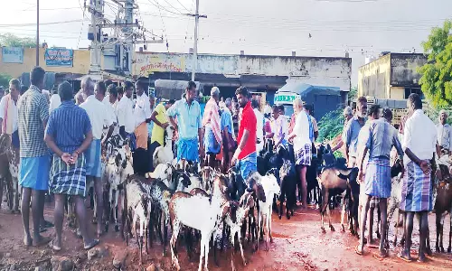 விலை அதிகரிப்பால் ஆண்டிபட்டி ஆட்டுச்சந்தையில் விற்பனை மந்தம்