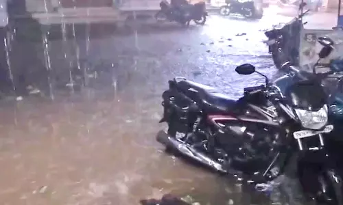 தென்காசியில் கொட்டித்தீர்த்த கனமழை: ராமநதி, கருப்பாநதி அணைகள் தலா 3 அடி உயர்வு