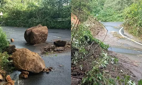 தமிழக-கேரள எல்லையான போடிமெட்டு மலைச்சாலையில் பாறைகள் உருண்டு மண் சரிவு- வாகன ஓட்டிகள் அச்சம்