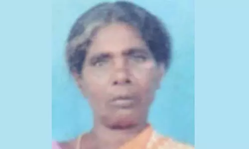 சோழவரம் அருகே மின் கம்பி அறுந்து விழுந்ததில் மின்சாரம் தாக்கி மூதாட்டி பலி