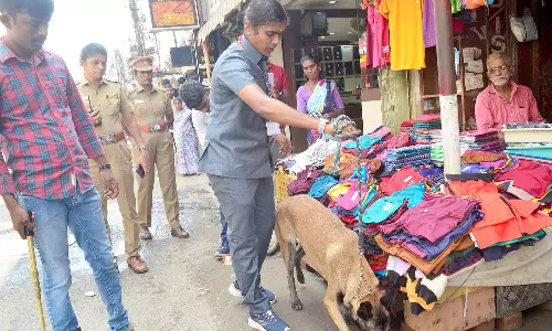 தீபாவளி பண்டிகையையொட்டி  கோவை கடைவீதிகளில் வெடிகுண்டு நிபுணர்கள் சோதனை