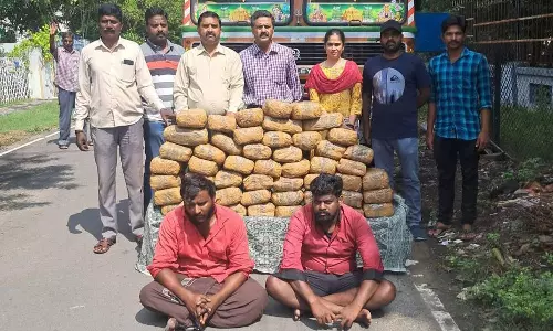 ஆந்திராவில் இருந்து லாரியில் 100 கிலோ கஞ்சா கடத்தல்: காட்பாடியில் 2 பேர் கைது