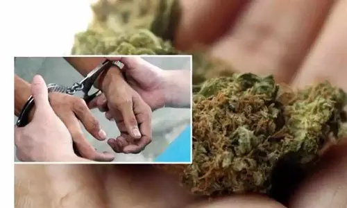 கஞ்சா கடத்திய 3 வாலிபர்கள் கைது