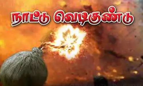 நாட்டு வெடிகுண்டு வெடித்து தலை சிதறி மாடு சாவு