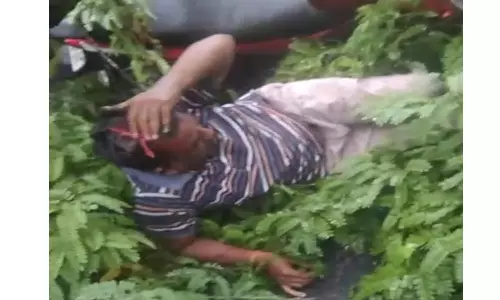 பைக்கில் சென்றவர் மீது வேரோடு சாய்ந்த புளியமரம்