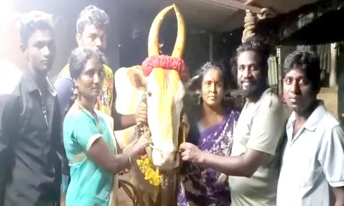 காளைகளுக்கு கேக் வெட்டி பிறந்தநாள் கொண்டாட்டம்