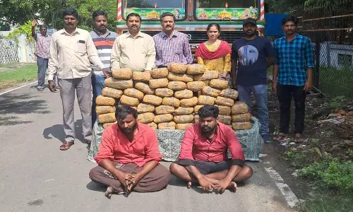 ஆந்திராவில் இருந்து லாரியில் 100 கிலோ கஞ்சா கடத்தல்