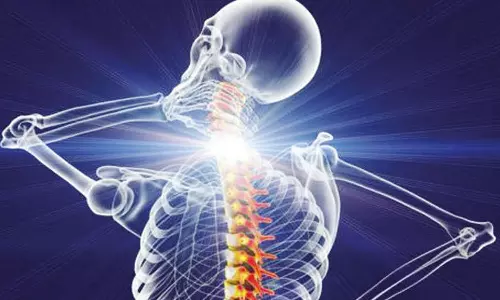 முதுகெலும்பு உடலின் தண்டுவடத்தை பாதுகாக்கிறது