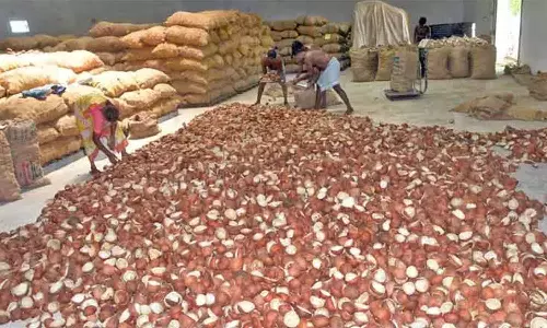 ஒரத்தநாடு விற்பனை கூடத்தில் 26-ந்தேதி வரை கொப்பரை கொள்முதல்