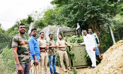 சிறுத்தையை கூண்டு வைத்து பிடிக்க வனத்துறையினர் தீவிரம்