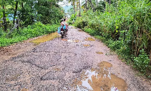 வருசநாடு அருகே தொடர் மழையால் சேதமடைந்த சாலையில் வாகன ஓட்டிகள் அவதி