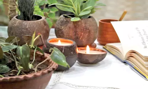 ஈத்தாமொழி எக்ஸ்க்ளுசிவ்வில் தீபாவளிக்கு இயற்கை தீபங்களுடன் அலங்கார தாவரங்களை பரிசுகள் ஆக்குங்கள்