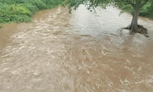 சின்னாற்றில் வெள்ளப்பெருக்கு பொதுமக்களுக்கு வெள்ள அபாய எச்சரிக்கை