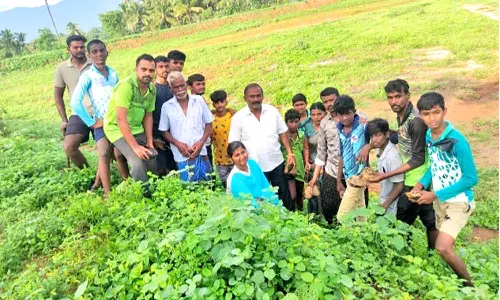 வெங்கடாம்பட்டி குளக்கரையில்  1,500 பனை விதைகள் விதைப்பு