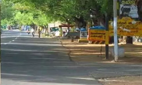 கிரிவலப்பாதையை தூய்மைபடுத்த பிரத்யேக ஏற்பாடு