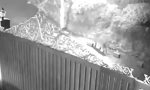 கோத்தகிரியில் குடியிருப்பு பகுதிக்குள் சுற்றி திரிந்த சிறுத்தை