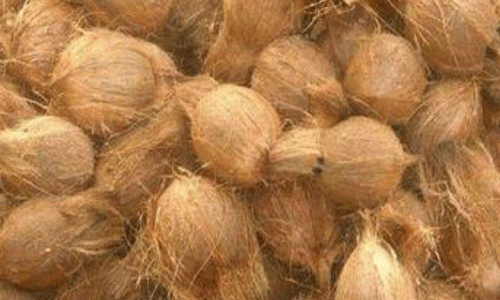 ரூ.66 லட்சத்து 70 ஆயிரத்துக்கு தேங்காய், தேங்காய்பருப்பு ஏலம்