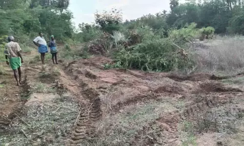 நல்லதங்காள் அணை நீர்வழிப்பாதையில் மின்கம்பம் அமைப்பதை தடுக்க கோரிக்கை