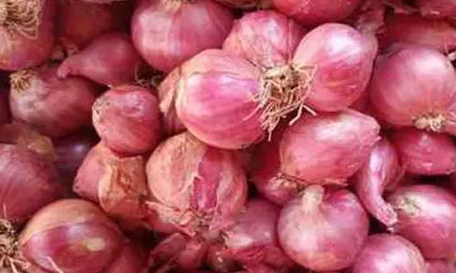 காங்கயம் வாரச்சந்தையில் சின்ன வெங்காயம்  கிலோ ரூ.120க்கு விற்பனை