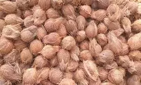 அரசு ஒழுங்கு முறை விற்பனை கூடத்தில் வேளாண் பொருட்கள் ரூ.30.38 லட்சத்துக்கு விற்பனை அரசு ஒழுங்கு முறை விற்பனை கூடத்தில் வேளாண் பொருட்கள் ரூ.30.38 லட்சத்துக்கு விற்பனை