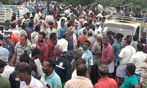 தீபாவளியை முன்னிட்டு ரூ.5 கோடிக்கு ஆடுகள் விற்பனை: களைகட்டிய உளுந்தூர்பேட்டை சந்தை