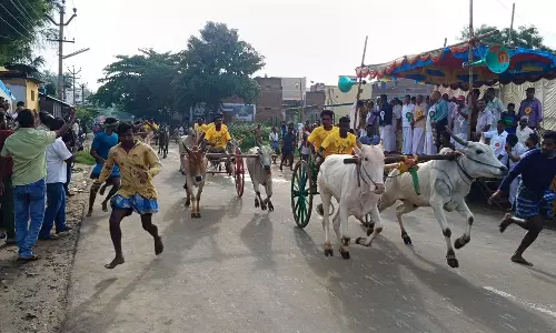 கம்பத்தில் கோவில் திருவிழாவை முன்னிட்டு இரட்டை மாட்டு வண்டி பந்தயம்