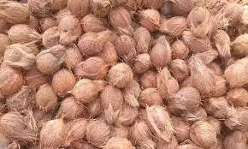 அரசு ஒழுங்கு முறை விற்பனை கூடத்தில் வேளாண் பொருட்கள் ரூ.30.38 லட்சத்துக்கு விற்பனை