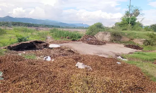வாழப்பாடி அருகே கொட்டவாடி ஏரியில் பாக்குத் தோல் கொட்டப்படுவதால் சுற்றுச்சூழல் பாதிப்பு